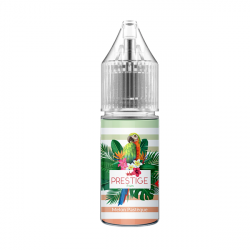 Melon Pastèque Salt 10ml - Prestige Fruits (10 pièces)