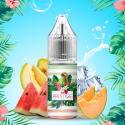 Melon Pastèque Salt 10ml - Prestige Fruits (10 pièces)