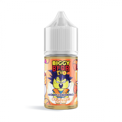 Concentré Mix Fraises Acidulées 30ml - Biggy Bear EVO (5 pièces) Concentré Mix Fraises Acidulées 30ml - Biggy Bear EVO (5 pièces)