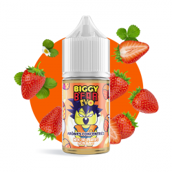 Concentré Mix Fraises Acidulées 30ml - Biggy Bear EVO (5 pièces) Concentré Mix Fraises Acidulées 30ml - Biggy Bear EVO (5 pièces)