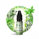 The Green Bear Salt 10ml Secret Garden - Secret's LAb (10 pièces)