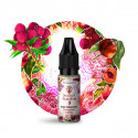 The Dragon Salt 10ml Secret Garden - Secret's LAb (10 pièces)