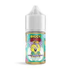 Concentré Ananas Litchi Givrés 30ml - Biggy Bear EVO (5 pièces)