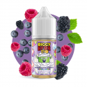 Concentré Fusion de baies sauvages 30ml - Biggy Bear EVO (5 pièces)