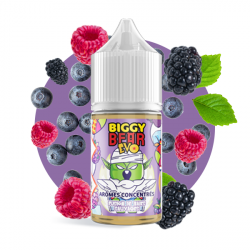 Concentré Fusion de baies sauvages 30ml - Biggy Bear EVO (5 pièces) Concentré Fusion de baies sauvages 30ml - Biggy Bear EVO (5 pièces)