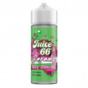 Berry Watermelon 100ml Paradise - Juice 66