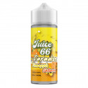 Pineapple Satsuma 100ml Paradise - Juice 66