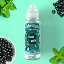 Mint Flow 100ml Paperland - Airmust