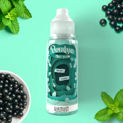 Mint Flow 100ml Paperland - Airmust Mint Flow 100ml Paperland - Airmust