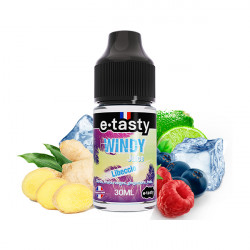 Concentré Libeccio 30ml Windy Juice - e.Tasty (5 pièces)