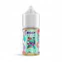 Concentré Menthe Fruits Rouges Bubble Gum 30ml - Biggy Bear (5 pièces)