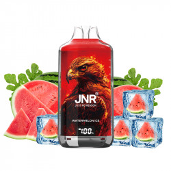 Puff Falcon-X Plus 28K Watermelon Ice 950mAh 22ml - JNR