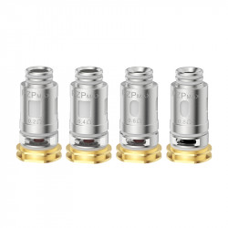 Résistances PZP Max (0.2/0.4/0.6/0.8) - Innokin (pack de 3)