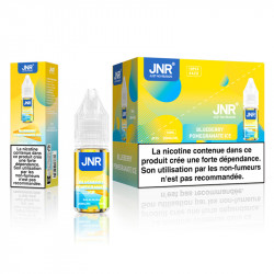 Blueberry Pomegranate Ice 10ml Falcon-X Plus Joker - JNR (10 pièces)