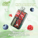 Puff Ma Petite Vape x Artery 15K Blueberry Pomegranate Ice 600mAh 12ml - Ma Petite Vape
