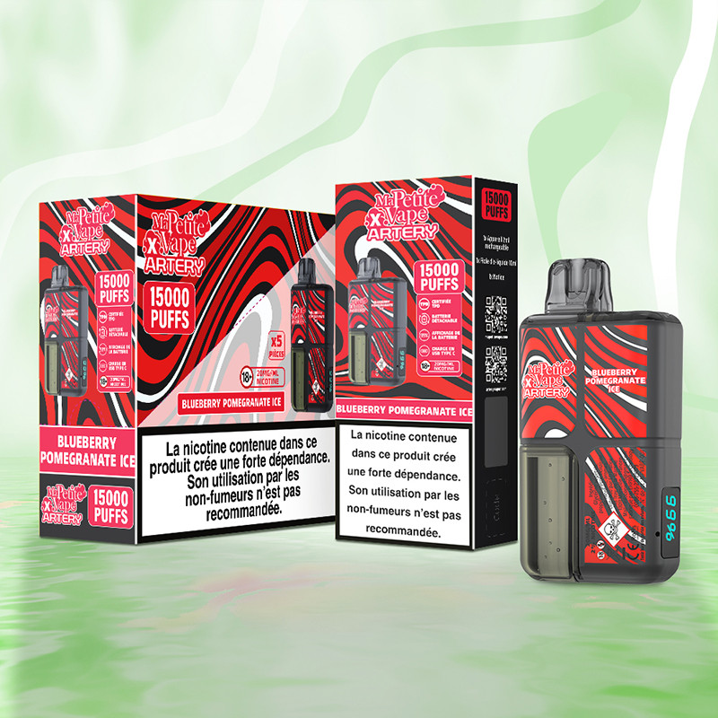 Puff Ma Petite Vape x Artery 15K Blueberry Pomegranate Ice 600mAh 12ml - Ma Petite Vape