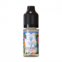 Concentré The Monkey 10ml Secret Garden - Secret's LAb (10 pièces)