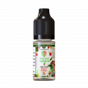 The Fox Salt 10ml Secret Garden - Secret's LAb (10 pièces)