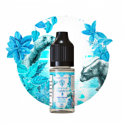 The Bear Salt 10ml Secret Garden - Secret's LAb (10 pièces)