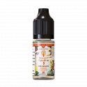 The Lemur Salt 10ml Secret Garden - Secret's LAb (10 pièces)