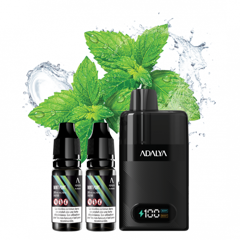 Puff Levo 30K Mint Point -...