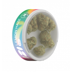 Fleur de CBD Lemon Haze 2.5g - IZI (10 pièces)