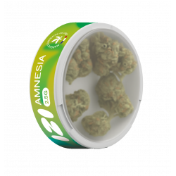 Fleur de CBD Amnesia 2.5g - IZI (10 pièces)