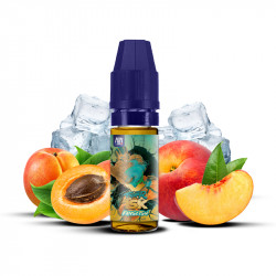 Kansetsu 10ml Fighter X - Maison Fuel (10 pièces)