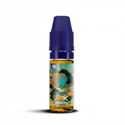 Kansetsu 10ml Fighter X - Maison Fuel (10 pièces)