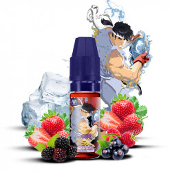 Seiryuto 10ml Fighter X - Maison Fuel (10 pièces)