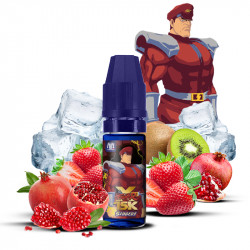 Shigeri 10ml Fighter X - Maison Fuel (10 pièces)
