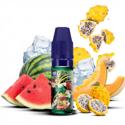 Shaken 10ml Fighter X - Maison Fuel (10 pièces)