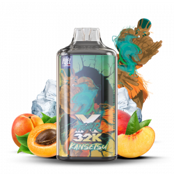 Puff Fighter X 32K Kansetsu 1000mAh 22ml - Maison Fuel