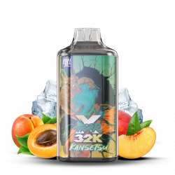 Puff Fighter X 32K Kansetsu 1000mAh 22ml - Maison Fuel