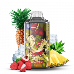 Puff Fighter X 32K Ushiro 1000mAh 22ml - Maison Fuel