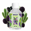 Cactus Cassis Mûre 200ml - Biggy Bear
