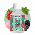 Menthe Fruits Rouges Bubble Gum 200ml - Biggy Bear