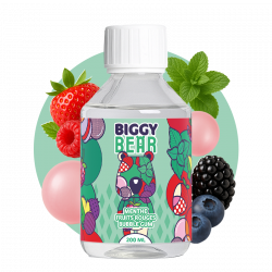 Menthe Fruits Rouges Bubble Gum 200ml - Biggy Bear