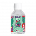 Menthe Fruits Rouges Bubble Gum 200ml - Biggy Bear