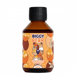 Dulce Caramel Sensation 200ml - Biggy Bear