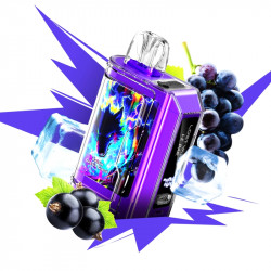 Puff Le Bar 45K Raisin Cassis glacé 1000mAh 32ml - Lost Vape