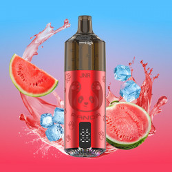 Puff Panda 25500 New Watermelon Ice 850mAh 22ml - JNR