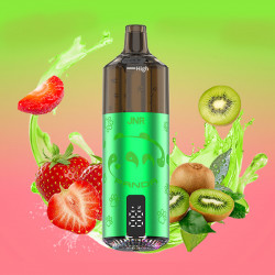 Puff Panda 25500 New Strawberry Kiwi 850mAh 22ml - JNR