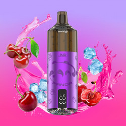 Puff Panda 25500 Cherry Ice 850mAh 22ml - JNR