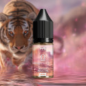 Mango Peach Ice 10ml Cloud Empire - FPS (10 pièces)