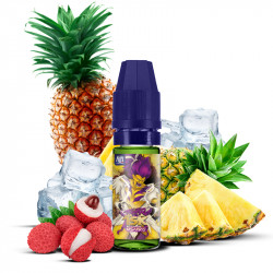 Ushiro 10ml Fighter X - Maison Fuel (10 pièces)