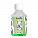 Cactus Cassis Mûre 200ml - Biggy Bear