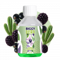 Cactus Cassis Mûre 200ml - Biggy Bear