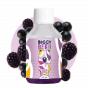 Cassis Mûre 200ml - Biggy Bear