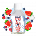 Fruits Rouges Givrés - Light Edition 200ml - Biggy Bear